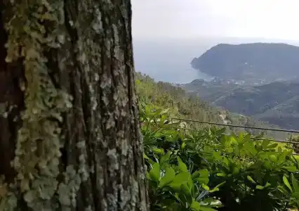 Santuario NS Soviore Cinque Terre - 9
