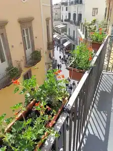 Antica Repubblica Amalfi - 117