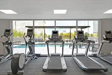 Holiday Inn Express - Houston - Galleria Area, An Ihg - 13