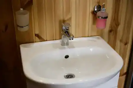 Lion - 6