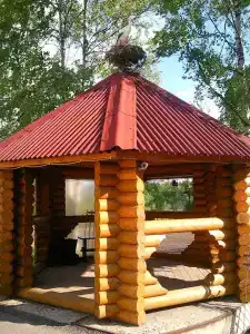 Кузова - 8