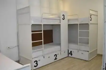 Hari Piorko - 25