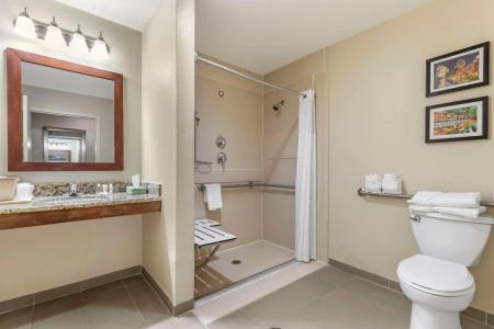 Comfort Suites Medical Center Near Six Flags - 8
