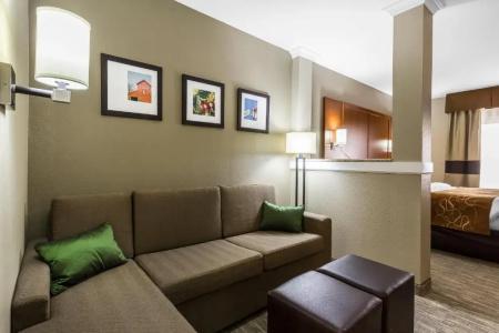 Comfort Suites - University - 53