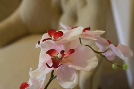 Intersur Recoleta - 27