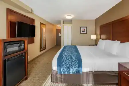 Comfort Inn & Suites Beach - 35