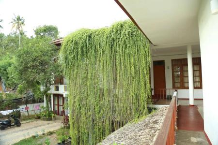 Mount Garden - 10