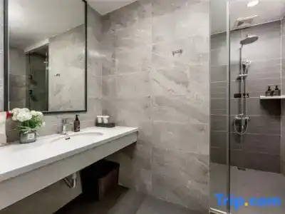 Ibis Dongguan Dongcheng - 69