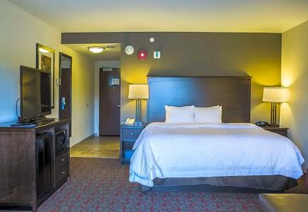 Hampton Inn & Suites - 88