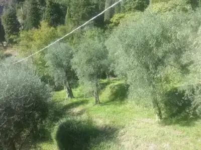 Locanda Ruscello Garnì - 48