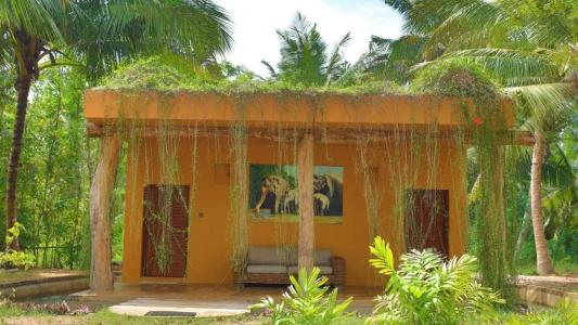 Mangrove Beach Chalets - 20
