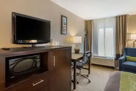 Comfort Inn 290/Nw - 34