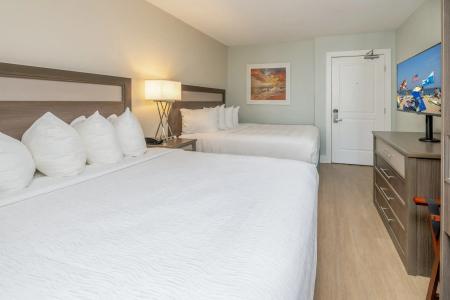 Commander & Suites - 78