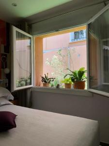 Villa Rose - 71