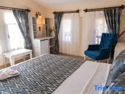 Portakal Dalyan - 20