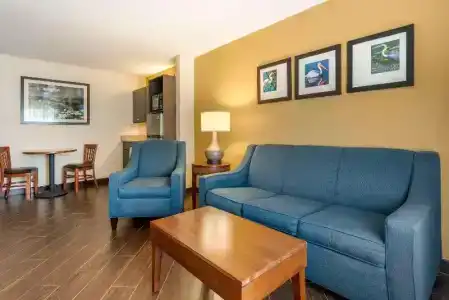 Comfort Suites - 39