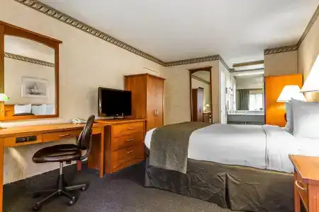 Quality Inn & Suites - 48