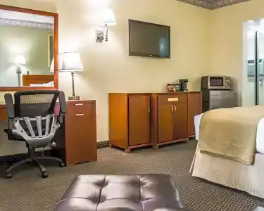 Quality Inn Airport - Cruise Port - 49