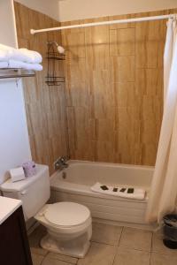 Falcon Inn - 111