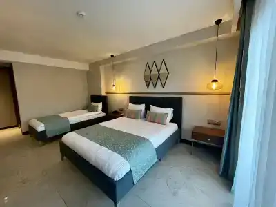 Molino - 5