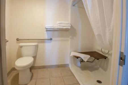 Best Western Inn of the Ozarks - 43