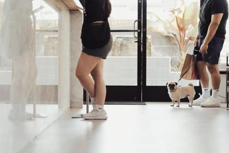 The Dixie Hollywood - 33