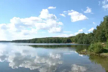 Сосновая горка - 17