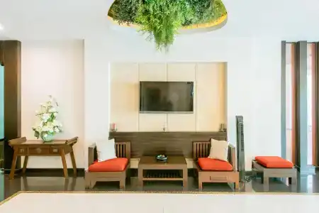 The Singora - 2