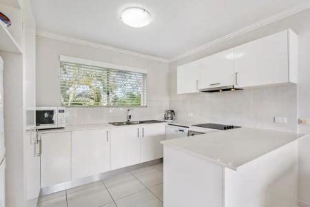 Noosa River Palms - 219