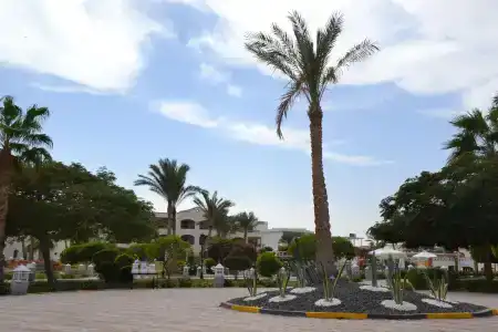 Regency Plaza Aqua Park and Spa Resort - 25
