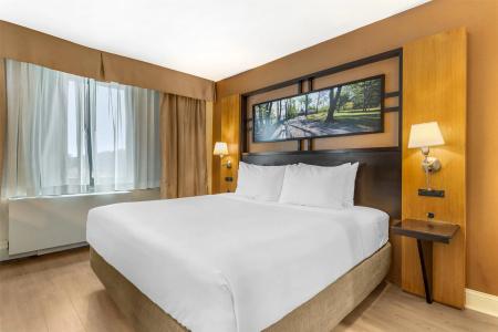 Best Western Gold Coast - 2