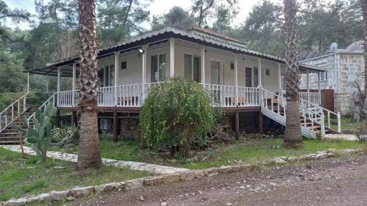 Olympos Angels Garden - 15