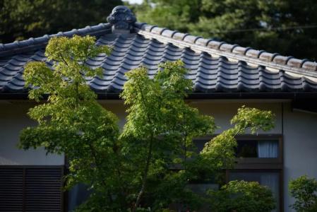 Minshuku Tsutaya - 27