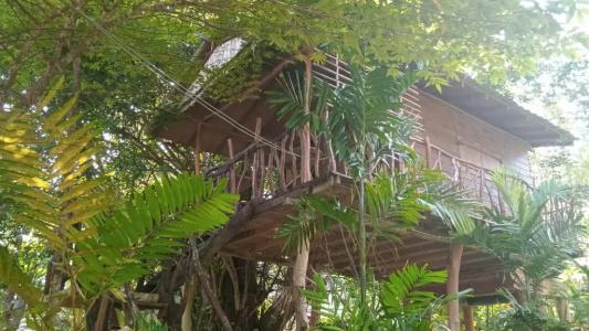 Sigiriya Rock Gate Resort - 83