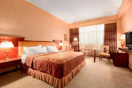 Ramada Plaza by Wyndham Gence - 51