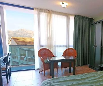 Kaktus Albir - 41