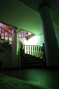 Dona Sofia - 13