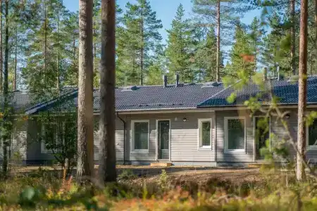 Saimaa Life - 155