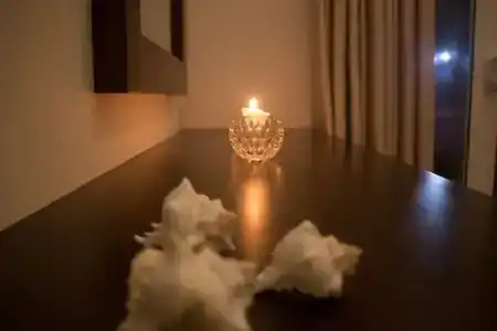 The Suite 262 - 35