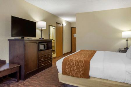 Comfort Inn at Thousand Hills - 52