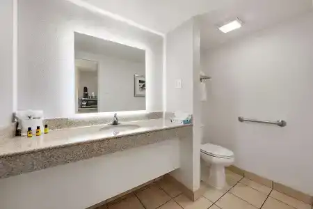 Best Western Plus Holiday Sands Inn & Suites - 55