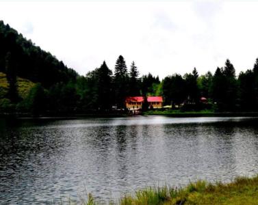 Black Lake - 8