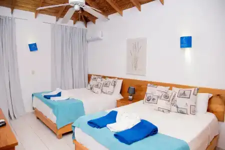 El Pelicano Apart-Hotel - 103