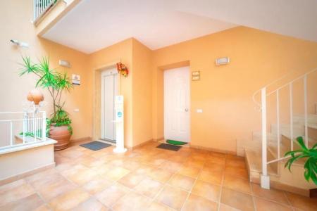 Il Cortile delle Esperidi - 8
