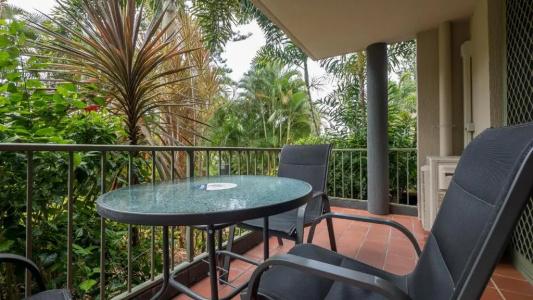 Montana Palms - 59