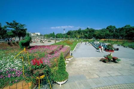 Chuo Oasis - 32