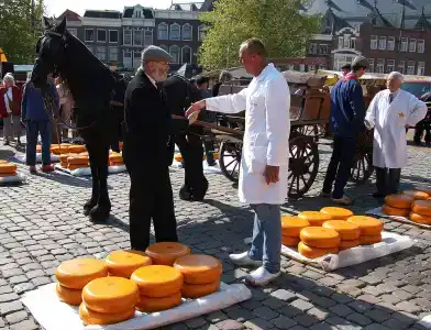 Best Western Plus City Gouda - 29