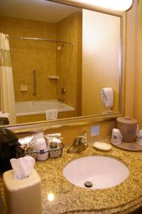Hampton Inn & Suites I-20 - 72