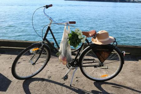 Mövenpick - 40