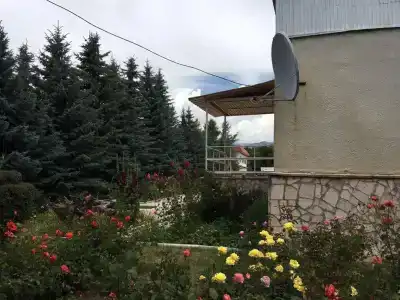 Тулпар - 21